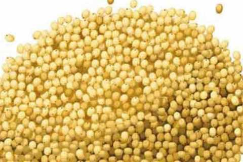 Top 4 Grains Healthier Than Wheat in Diabetic diet plan
