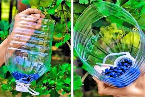 Genius Gardening Hacks That Actually Work