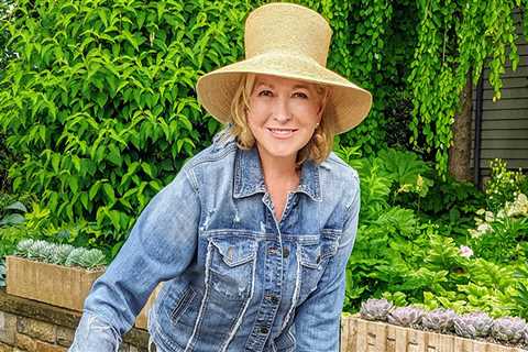 Martha Stewart Flower Gardens