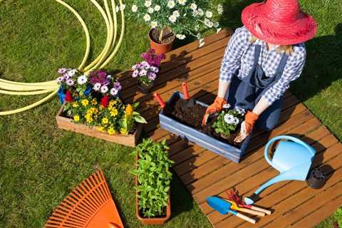 How to Start a Vegetable Garden From Scratch