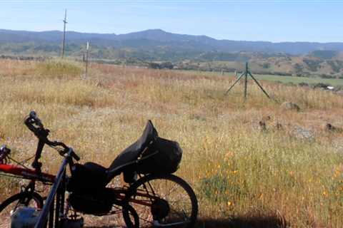 Coyote Ridge Wildflowers and Wildlife