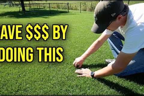 You May Not Want To Do This For Your Lawn...But You SHOULD