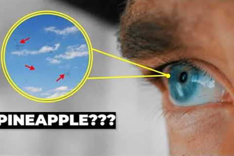 You'd Better Watch This Video If You Have These Signs