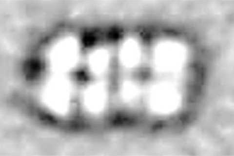 Harvard Scientists Had A Secret Meeting About Creating Artificial Human DNA &amp; Discovered This