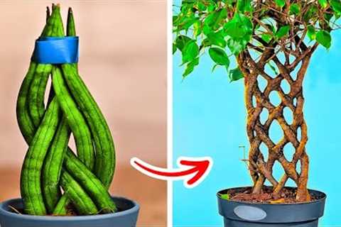 Smart Hacks To Grow Your Own Plants