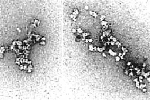 Scientists Have Just Announced That They Discovered That Our DNA Holds A Secret Message Inside Of It