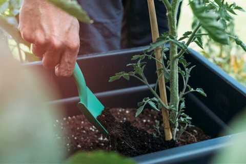 9 Things Master Gardeners Don't Do in their Gardens