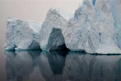 Top 3 Nordic Dishes to Try on a Cruising Trip to Antarctica