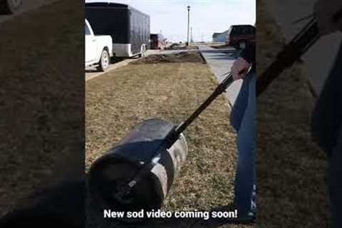 Rolling That New Sod!