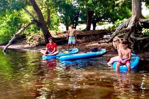 Birthday Treat: Mangrove Paddle Boarding (SUP experience)