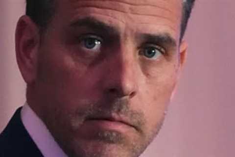 Hunter Biden's Children: The Truth
