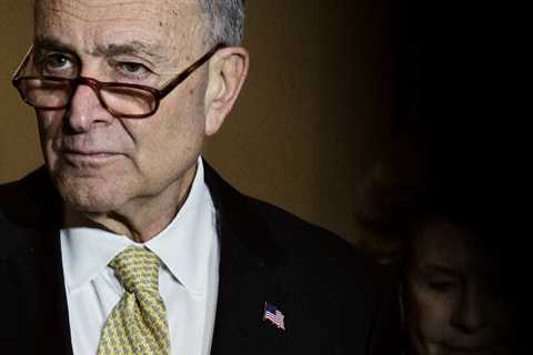 How Chuck Schumer Defeated a Primary Challenge from the Left