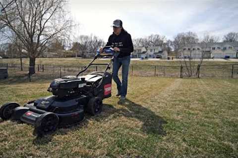 Can I Make My Lawn Green Up FASTER??