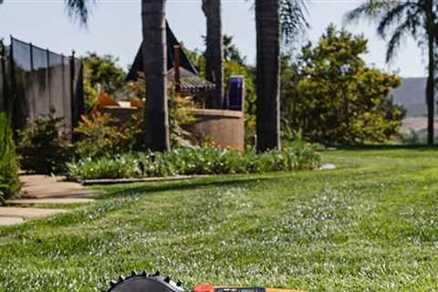 7 Best Robot Lawn Mowers to Make Lawn Maintenance Easy