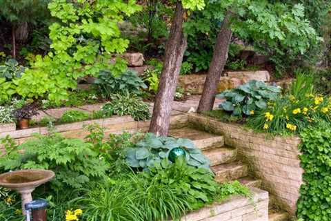 13 Best Shade Perennials that Will Not Take Over Your Garden