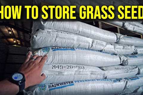 Grass Seed: How To Store It Properly? How Long Before It Goes Bad?