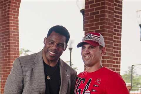 Fandom Powers Herschel Walker's Georgia Senate Bid