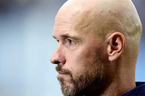 Manchester United Appoints Erik ten Ha in Effort To Halt Slide