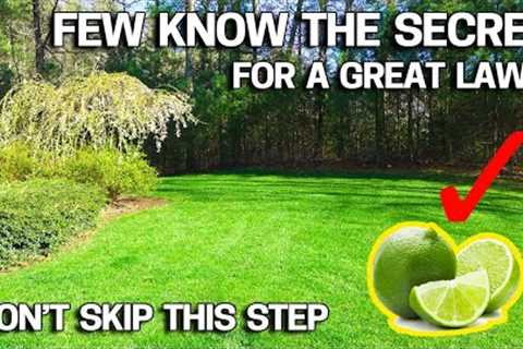 BEST LAWN TIP for 2022 - LIME for Success!