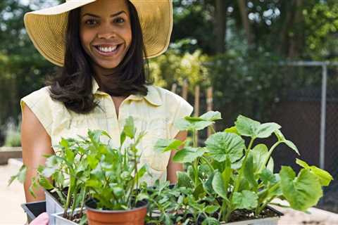 The Easiest Herbs to Grow Indoors
