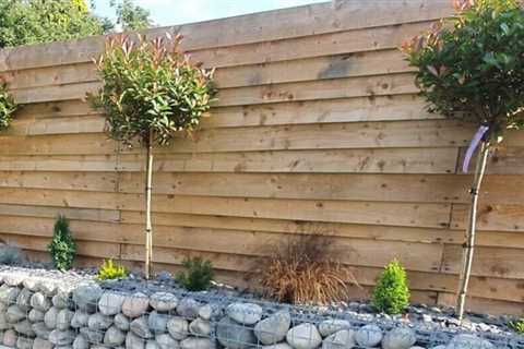 Gabion Wall Ideas and Inspiration for Homeowners