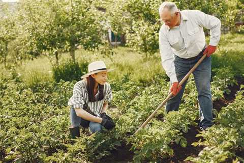 How to Choose the Best Gardening Irrigation System For Vegetable Garden