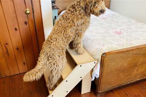 How to Build DIY Dog Stairs