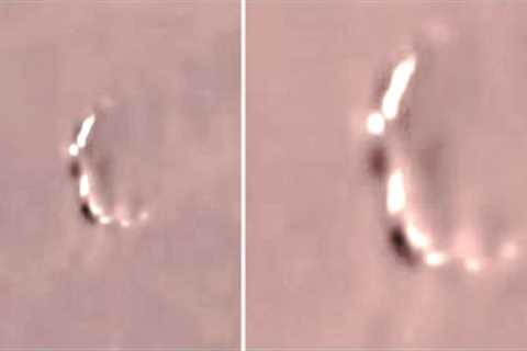 Scientists Have Just Detected Something Bigger Than The Milky Way Galaxy Hiding In Deep Space