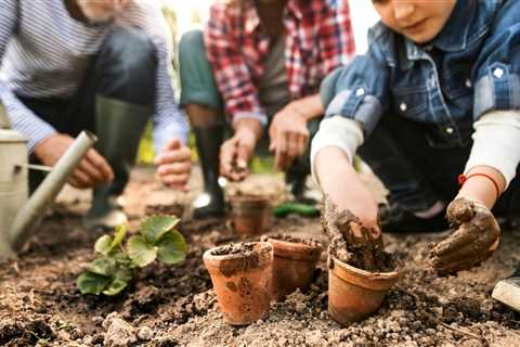 Easy Herbs to Grow Indoors