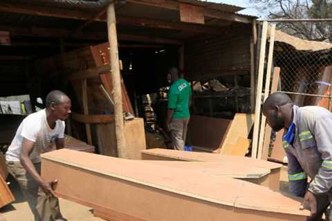 What informal sector organizations in Zimbabwe have to do with citizenship