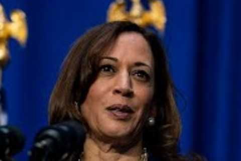 Are Democrats going to nominate Harris if Biden doesn't run? l FiveThirtyEight Politics Podcast