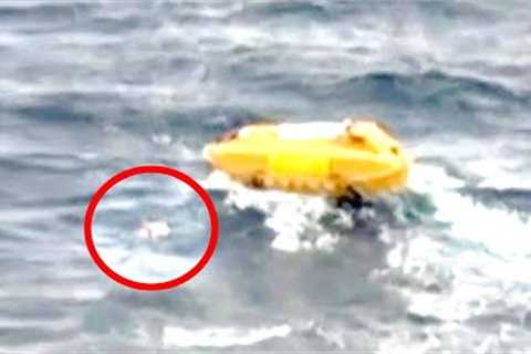 This Cruise Ship Sent A Smaller Boat To Investigate Something In The Ocean But Didn't Expect This