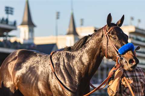 The Forelegs Pulled Medina Spirit Into a World that Let Him Down