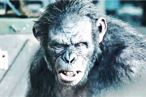 This Explorer Encountered A Mysterious Breed Of Jungle Chimpanzee Clan The Size Of Humans