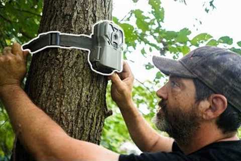 Dan Infalt's Trail Camera Strategy For Hunting Mature Whitetails