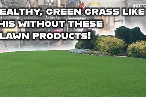 You don't NEED these 3 products to have healthy, green grass! Basic lawn care tips on a budget.