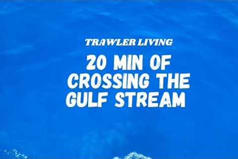 20 min of cruising the Gulf Stream