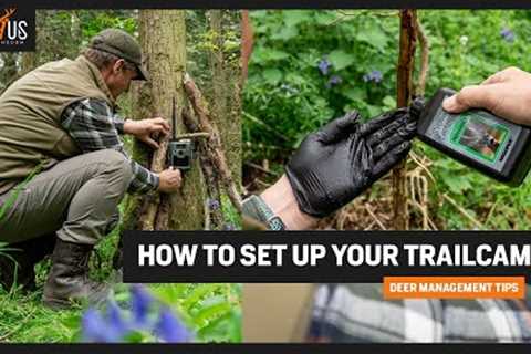 HOW TO SET UP YOUR TRAIL CAMERA &amp; ROEBUCK STALK!