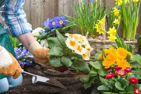 Kids Gardening Tips For Children