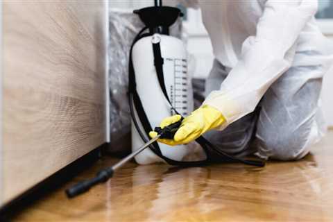 Tips for Hiring a Termite Exterminator