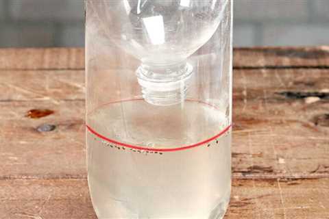 20 Tips and Tricks for Reusing Bottles and Cans