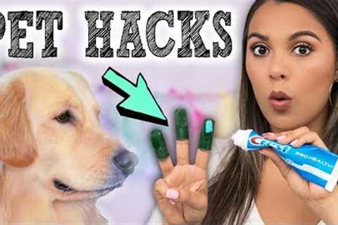 DIY Pet Hacks &amp; Gadgets Put to the Test! Useful Inventions for your Dogs!