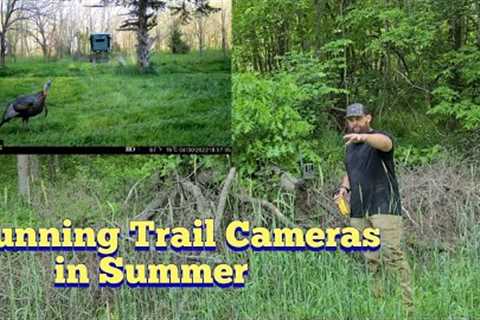 KOAM Outdoors Strategies -  Summer Trail Cameras