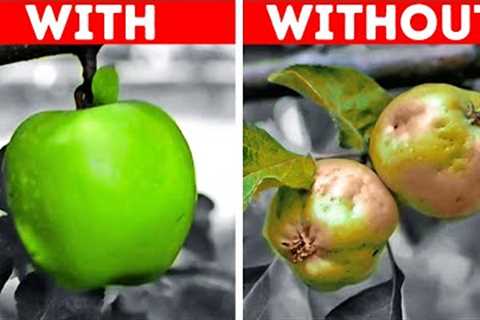 Clever Gardening Hacks To Must Know When Starting Gardening