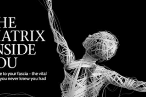 The Importance of Fascia in Our Bodies