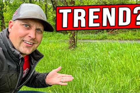 DOES THIS NEW TREND NEED TO END? [MOWING TALL GRASS]