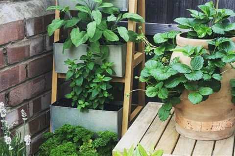 10 Herb Garden Ideas