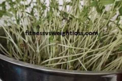 Microgreens for health and weight loss; all you need to know