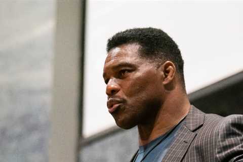 As he runs in the G.O.P. primary for Georgia Senate, Herschel Walker says he wants a ban on..