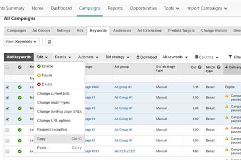 Microsoft AdWords and Microsoft AdCenter